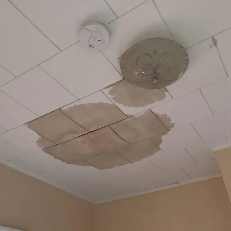 Ceiling Water Damage Repair in Rosebank, NY